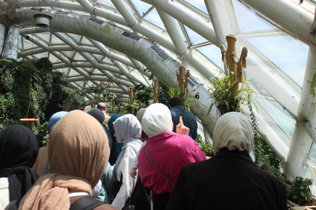 Konya Tropikal Kelebek Bahçesi turistlerin gözdesi oldu 23