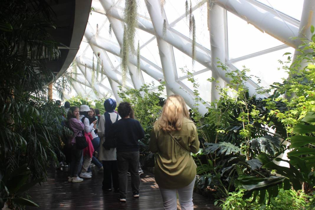 Konya Tropikal Kelebek Bahçesi turistlerin gözdesi oldu 25