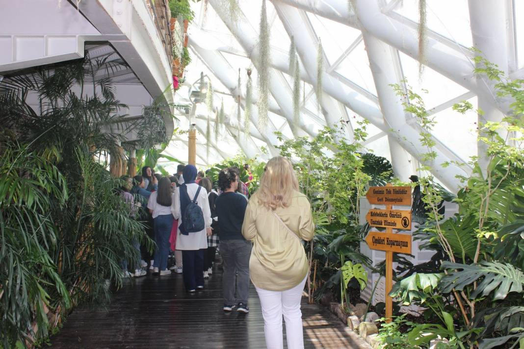 Konya Tropikal Kelebek Bahçesi turistlerin gözdesi oldu 3