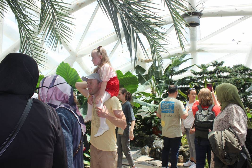 Konya Tropikal Kelebek Bahçesi turistlerin gözdesi oldu 5