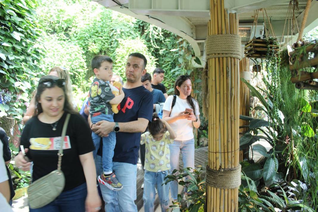 Konya Tropikal Kelebek Bahçesi turistlerin gözdesi oldu 7