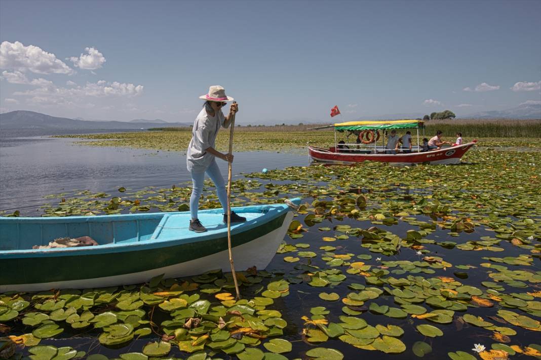 Beyşehir Gölü'nde balıkçı tekneleriyle gezilen nilüferler için tekne turları düzenleniyor 10