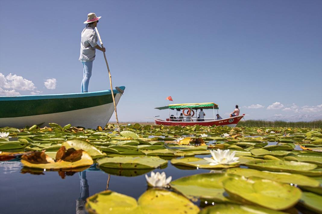 Beyşehir Gölü'nde balıkçı tekneleriyle gezilen nilüferler için tekne turları düzenleniyor 11