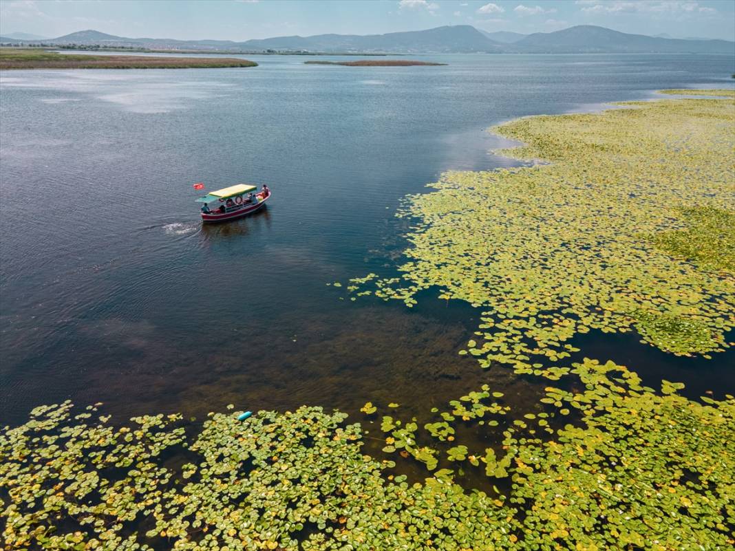 Beyşehir Gölü'nde balıkçı tekneleriyle gezilen nilüferler için tekne turları düzenleniyor 4