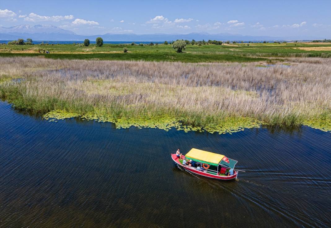 Beyşehir Gölü'nde balıkçı tekneleriyle gezilen nilüferler için tekne turları düzenleniyor 5