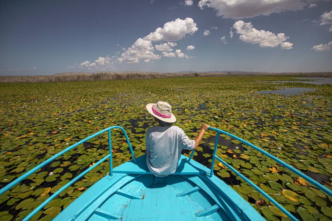 Beyşehir Gölü'nde balıkçı tekneleriyle gezilen nilüferler için tekne turları düzenleniyor 9