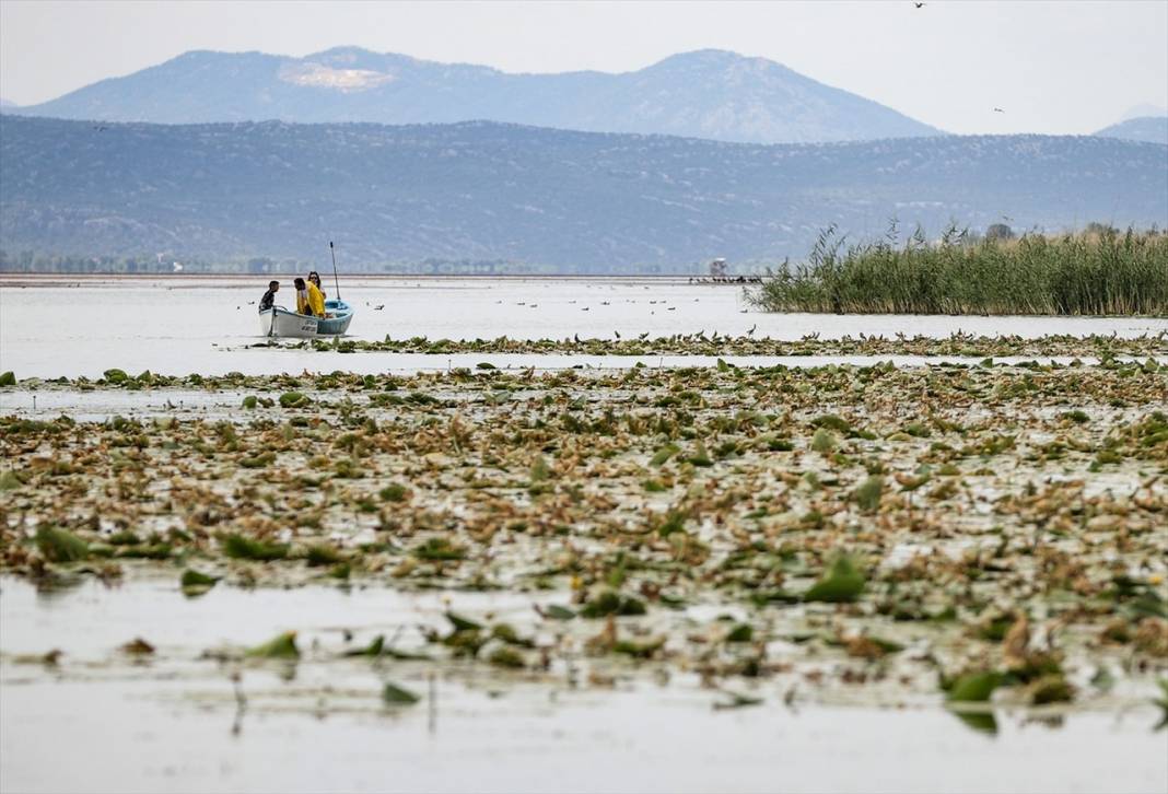 Konya'daki gölün sığ kıyıları fotoğraf tutkunlarının uğrak yeri oldu 7