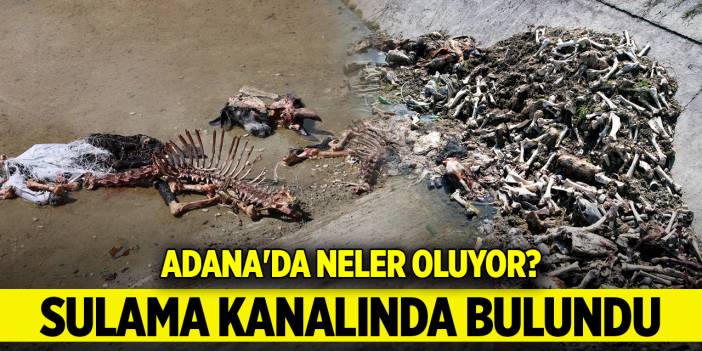 Adana'da neler oluyor? Sulama kanalında bulundu