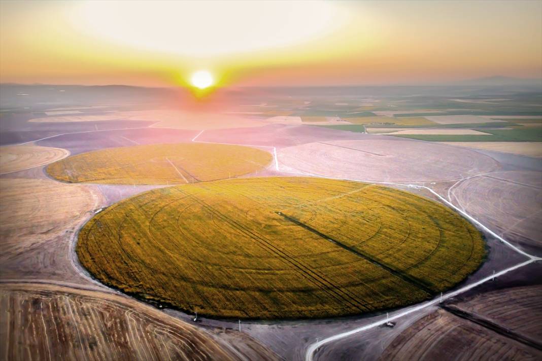 Konya'nın "köşesiz" tarlaları sarıya büründü 7