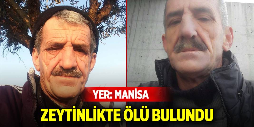 Yer Manisa... Zeytinlikte ölü bulundu 1