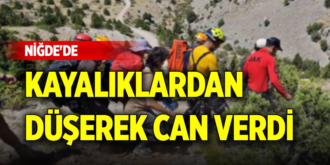 Niğde'de kayalıklardan düşerek can verdi 1