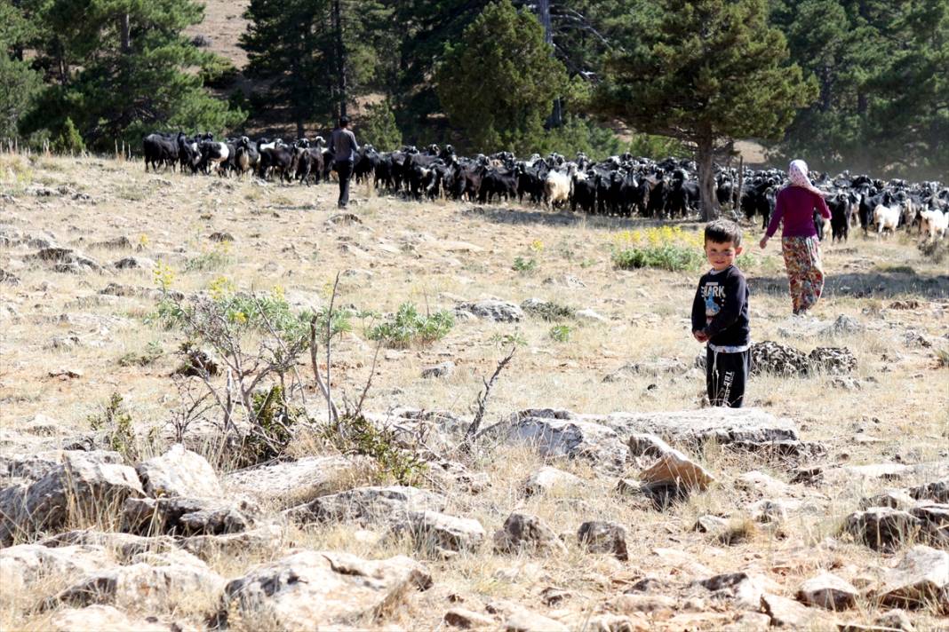 Dağ başında geçen bir ömür... Konya'da geleneklerini yaşatıyorlar 12