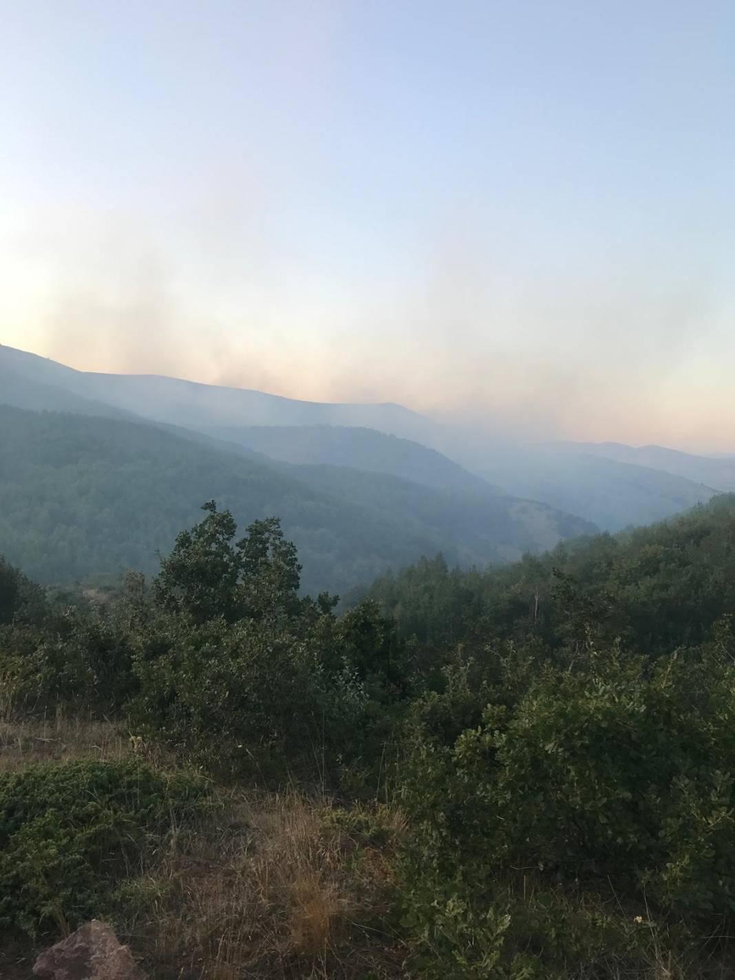 Sivas'ta yangın söndürmeye gitti, cansız bedeni geldi 2