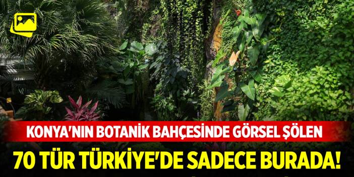 70 tür Türkiye'de sadece burada! Konya'nın botanik bahçesinde görsel şölen