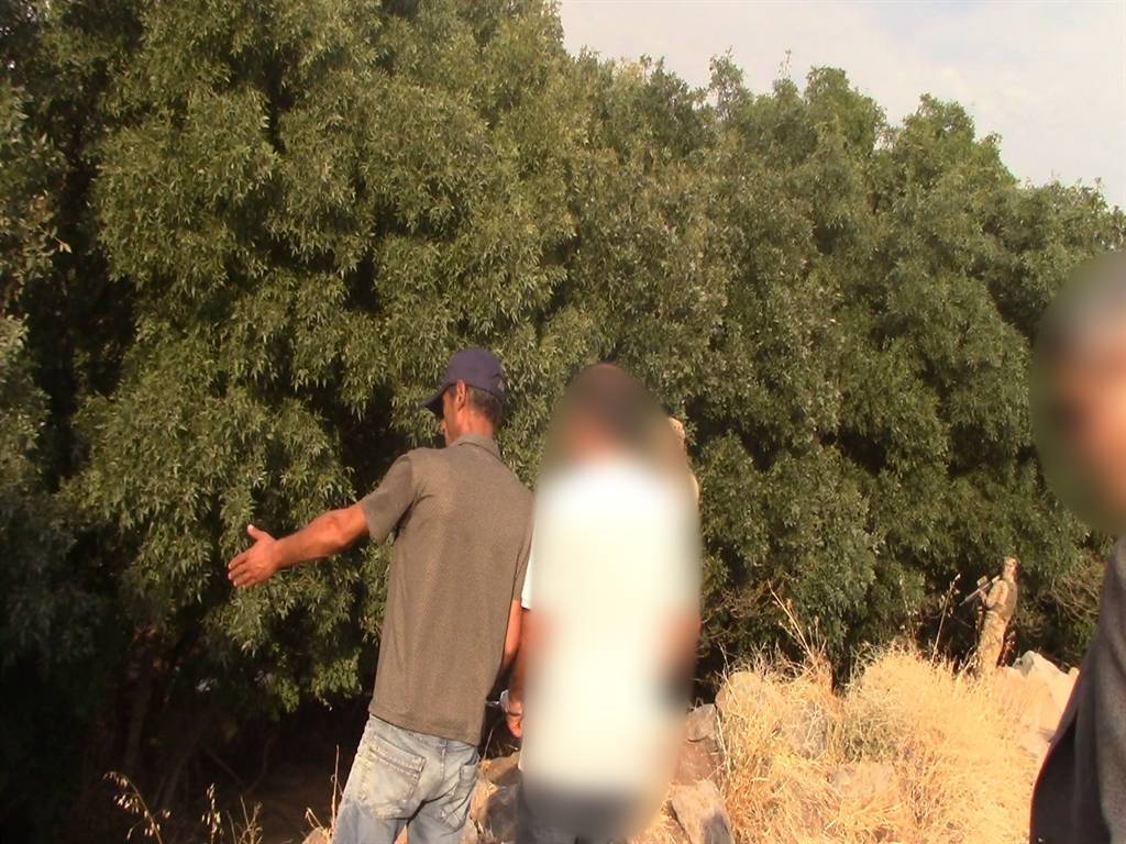 Narin Güran cinayetinde yeni ayrıntı ortaya çıktı 4