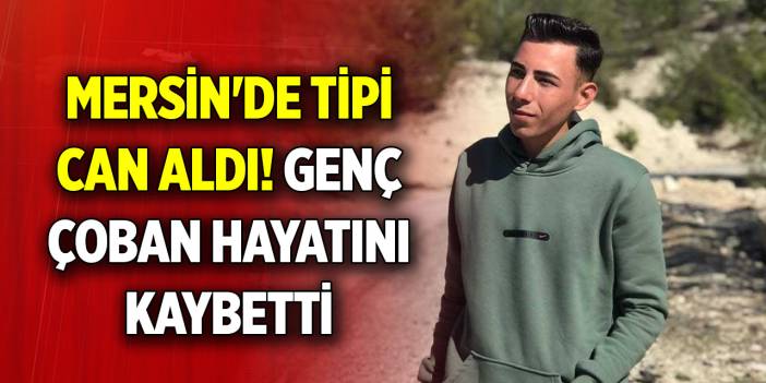 Mersin'de tipi can aldı! Genç çoban hayatını kaybetti