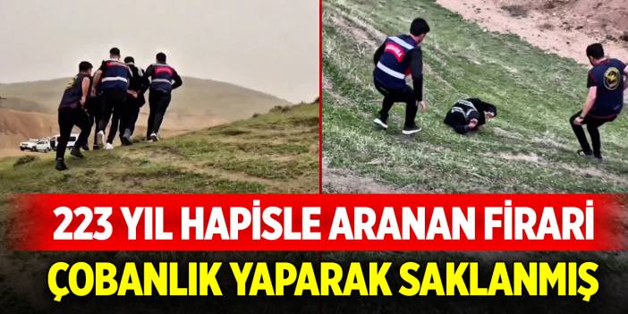 20 ilde 223 yıl hapisle aranan firari, çobanlık yaparak saklanmış