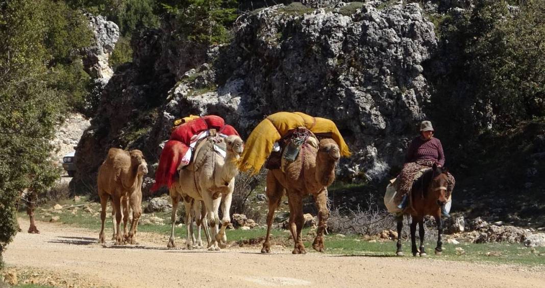 Sarıkeçili Yörüklerinin Konya yolculuğu başladı 1