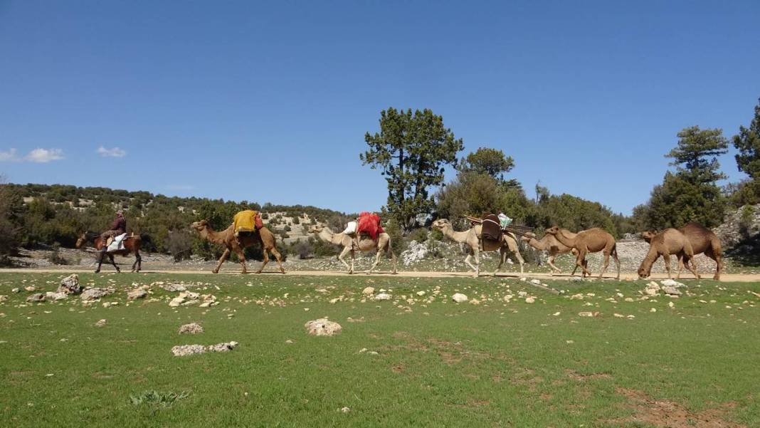 Sarıkeçili Yörüklerinin Konya yolculuğu başladı 5