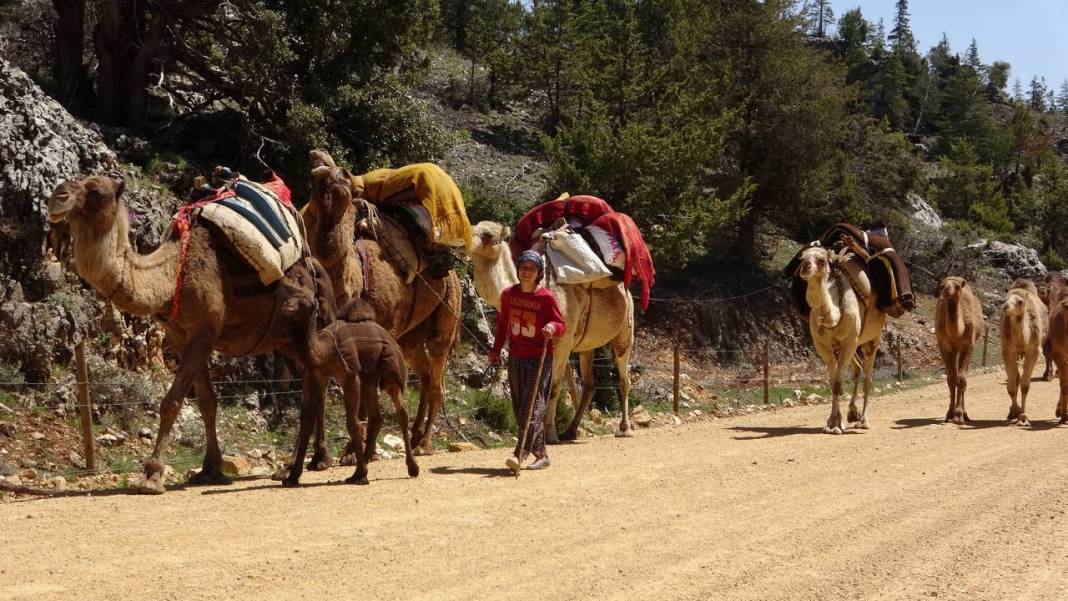 Sarıkeçili Yörüklerinin Konya yolculuğu başladı 6
