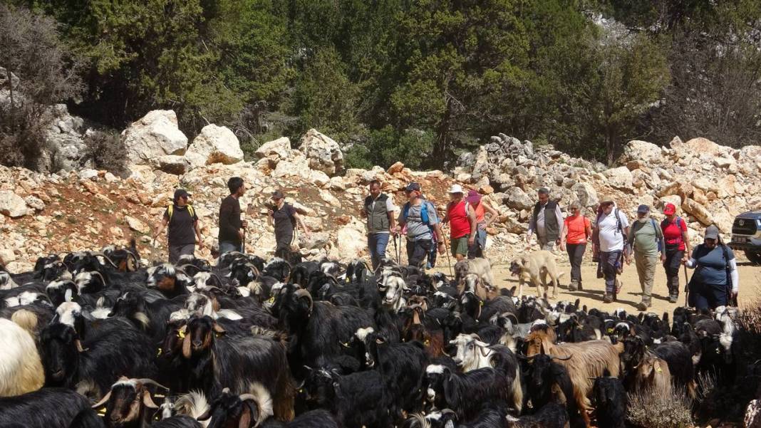 Sarıkeçili Yörüklerinin Konya yolculuğu başladı 8