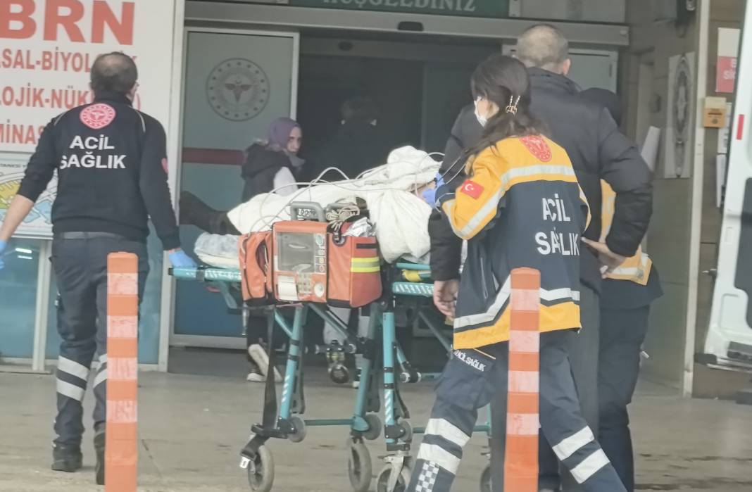Köstebeklerden kurtulmak isterken canından oldu! 3