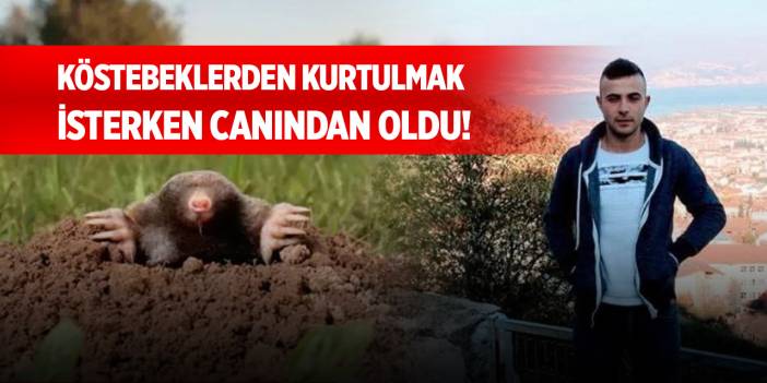 Köstebeklerden kurtulmak isterken canından oldu!