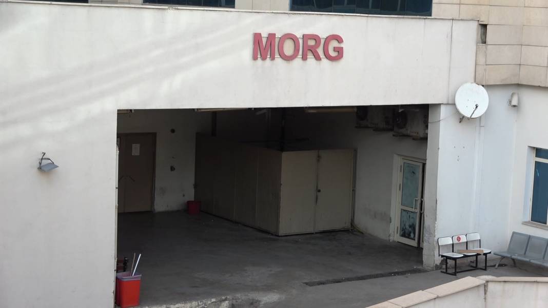 'Hayvanın üstünden geçtim sandım' dedi, gerçek başka çıktı 6