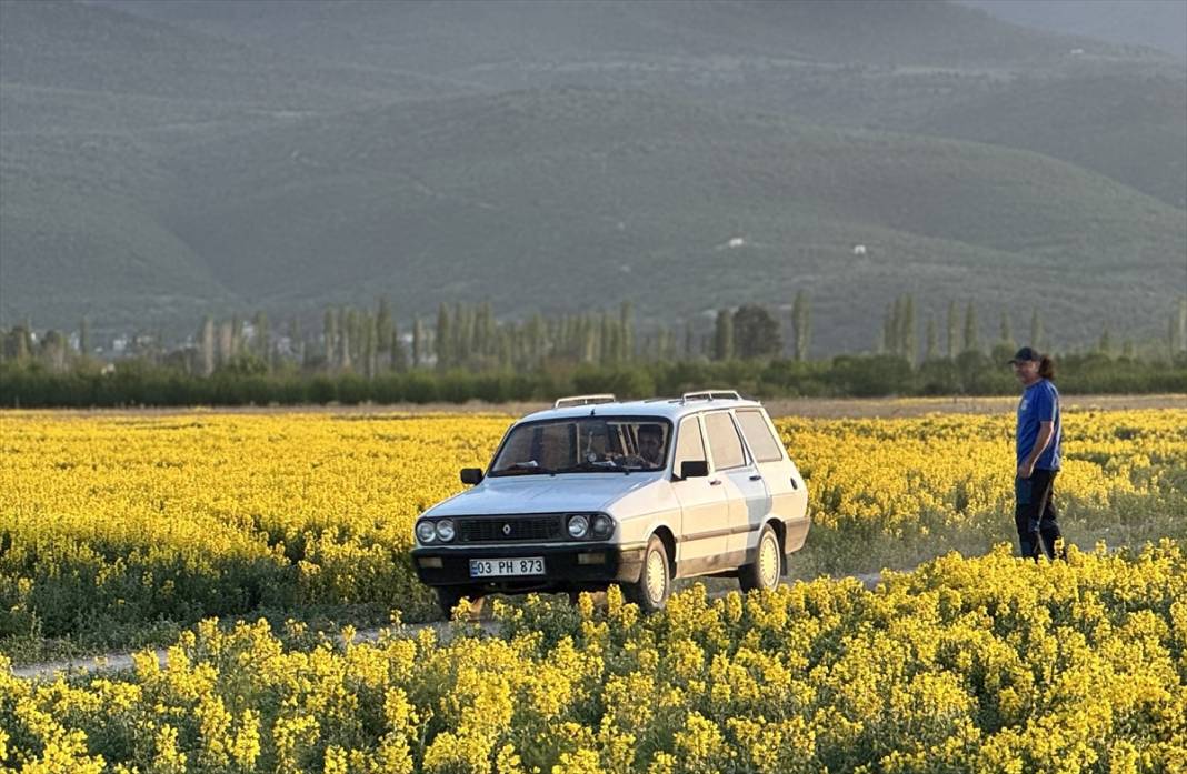 Konya'da kuruyan gölün etrafı sarıya boyandı! Koparana büyük ceza var 4