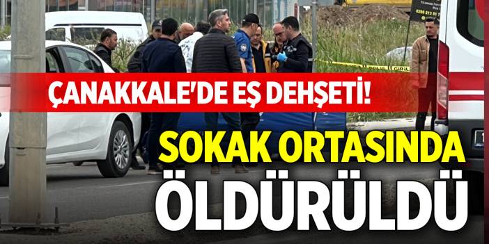 Çanakkale'de eş dehşeti! Sokak ortasında öldürüldü