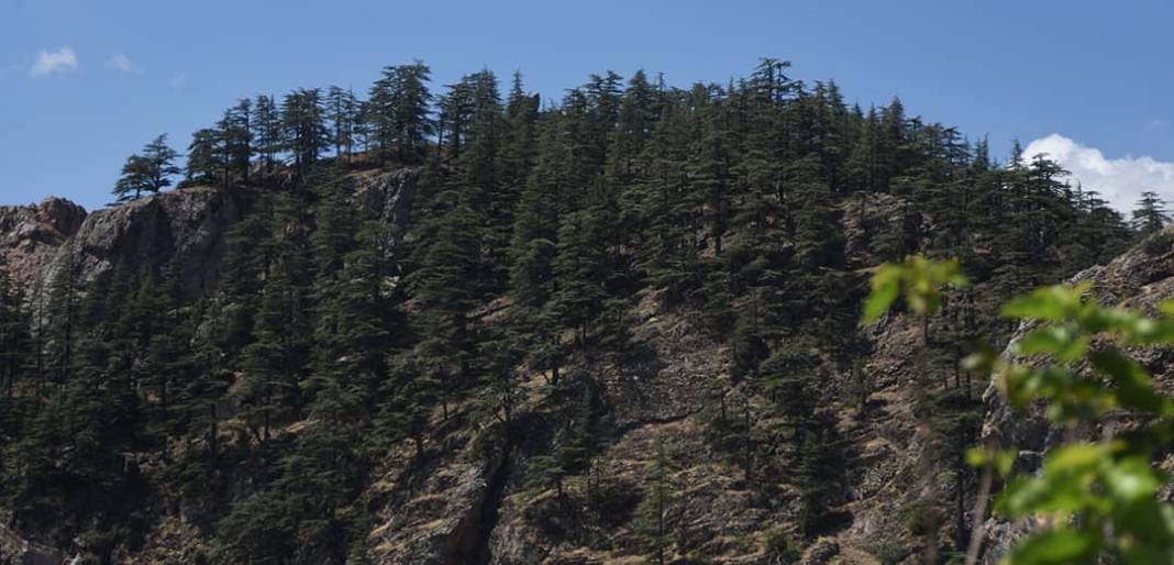 Konya'nın o ilçesi! Torosların saklı cenneti 5