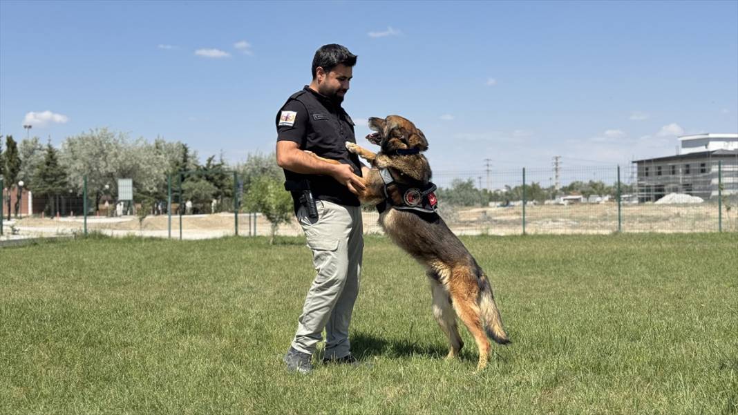 Görevini tamamlayan bomba arama köpeği Konya'da hayatına devam edecek 1