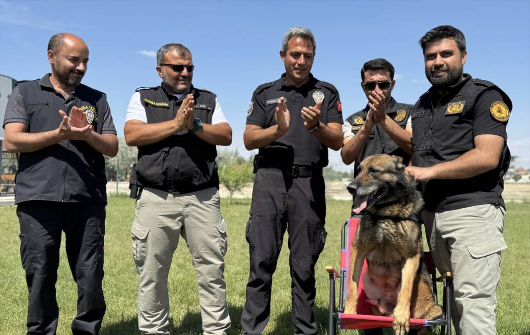 Görevini tamamlayan bomba arama köpeği Konya'da hayatına devam edecek 3