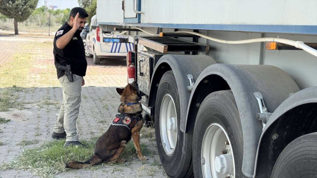 Görevini tamamlayan bomba arama köpeği Konya'da hayatına devam edecek 4