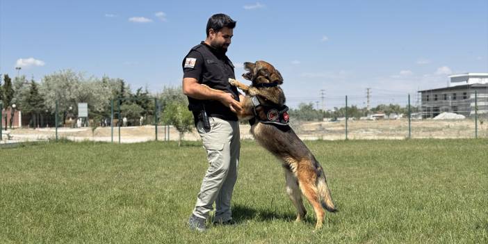 Görevini tamamlayan bomba arama köpeği Konya'da hayatına devam edecek