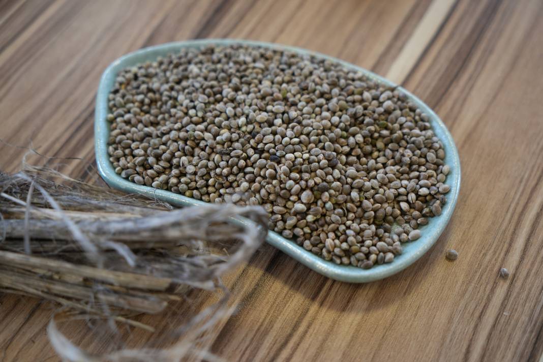 Lise öğrencileri  zararsız yüzü ile tanıştı... Tarımsal potansiyel hazır, yeter ki sanayisi kurulsun 6