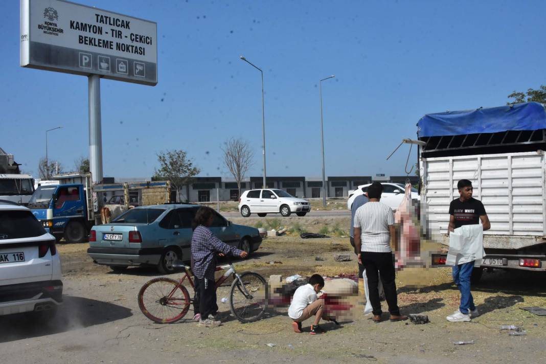 Konya'da izinsiz kurban pazarında, kaçak ve hijyenik olmayan kesim 1