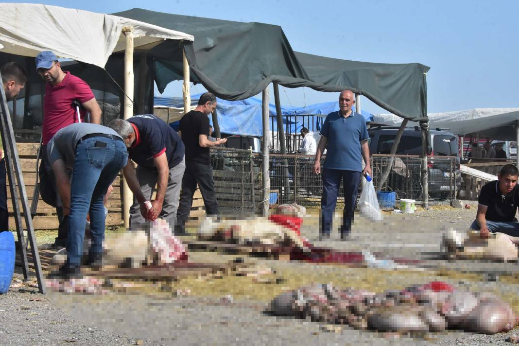 Konya'da izinsiz kurban pazarında, kaçak ve hijyenik olmayan kesim 2