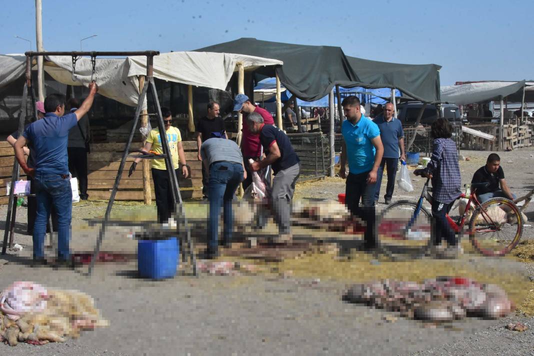 Konya'da izinsiz kurban pazarında, kaçak ve hijyenik olmayan kesim 3
