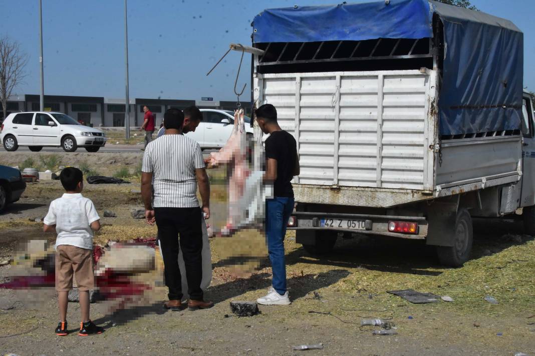 Konya'da izinsiz kurban pazarında, kaçak ve hijyenik olmayan kesim 4