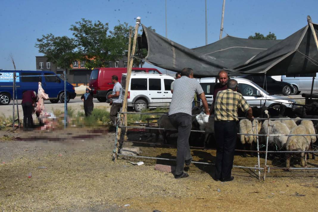 Konya'da izinsiz kurban pazarında, kaçak ve hijyenik olmayan kesim 5