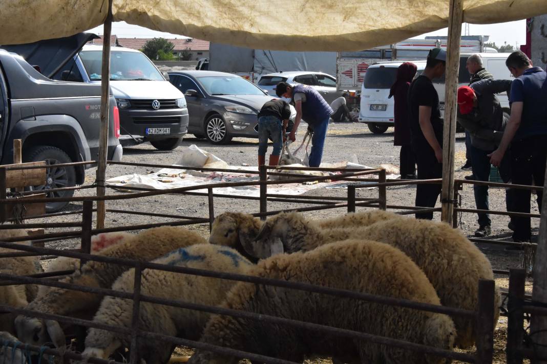 Konya'da izinsiz kurban pazarında, kaçak ve hijyenik olmayan kesim 6