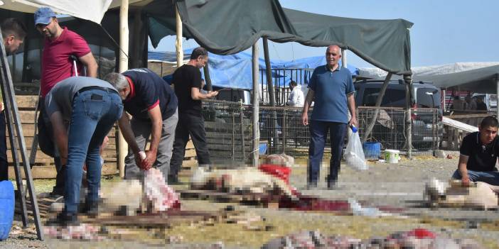 Konya'da izinsiz kurban pazarında, kaçak ve hijyenik olmayan kesim