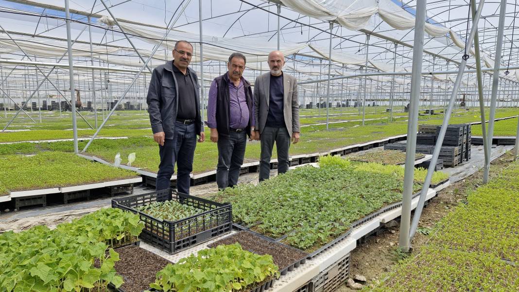 Memur emeklisi çiftçi kurdu... Yarısını Konya'ya satıyor 6