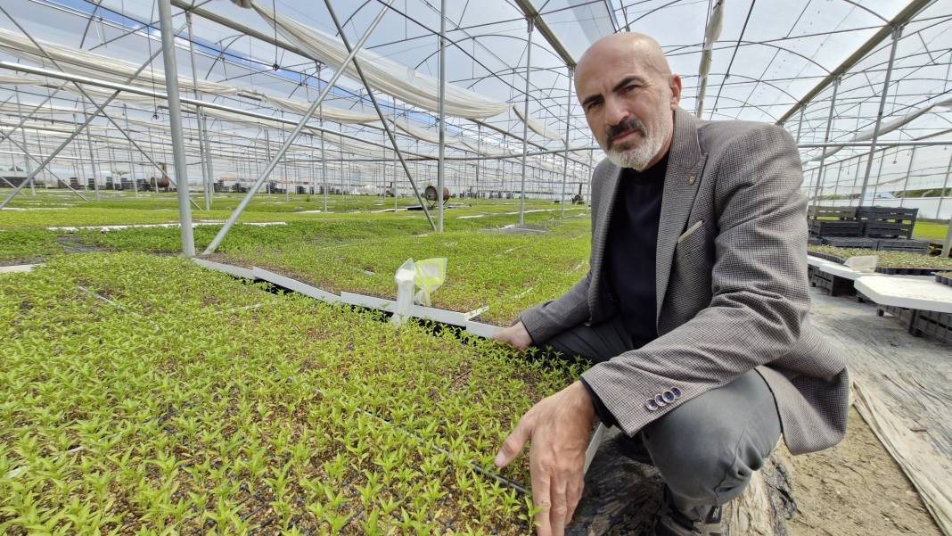 Memur emeklisi çiftçi kurdu... Yarısını Konya'ya satıyor 7