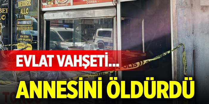Evlat vahşeti... Annesini öldürdü