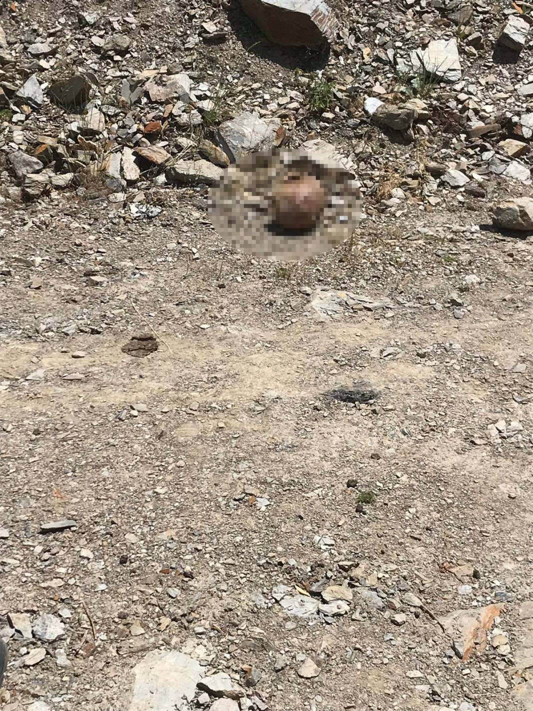 Canlı yayında itiraf etti; Konya'da aylar sonra ceset parçalarına ulaşıldı 2