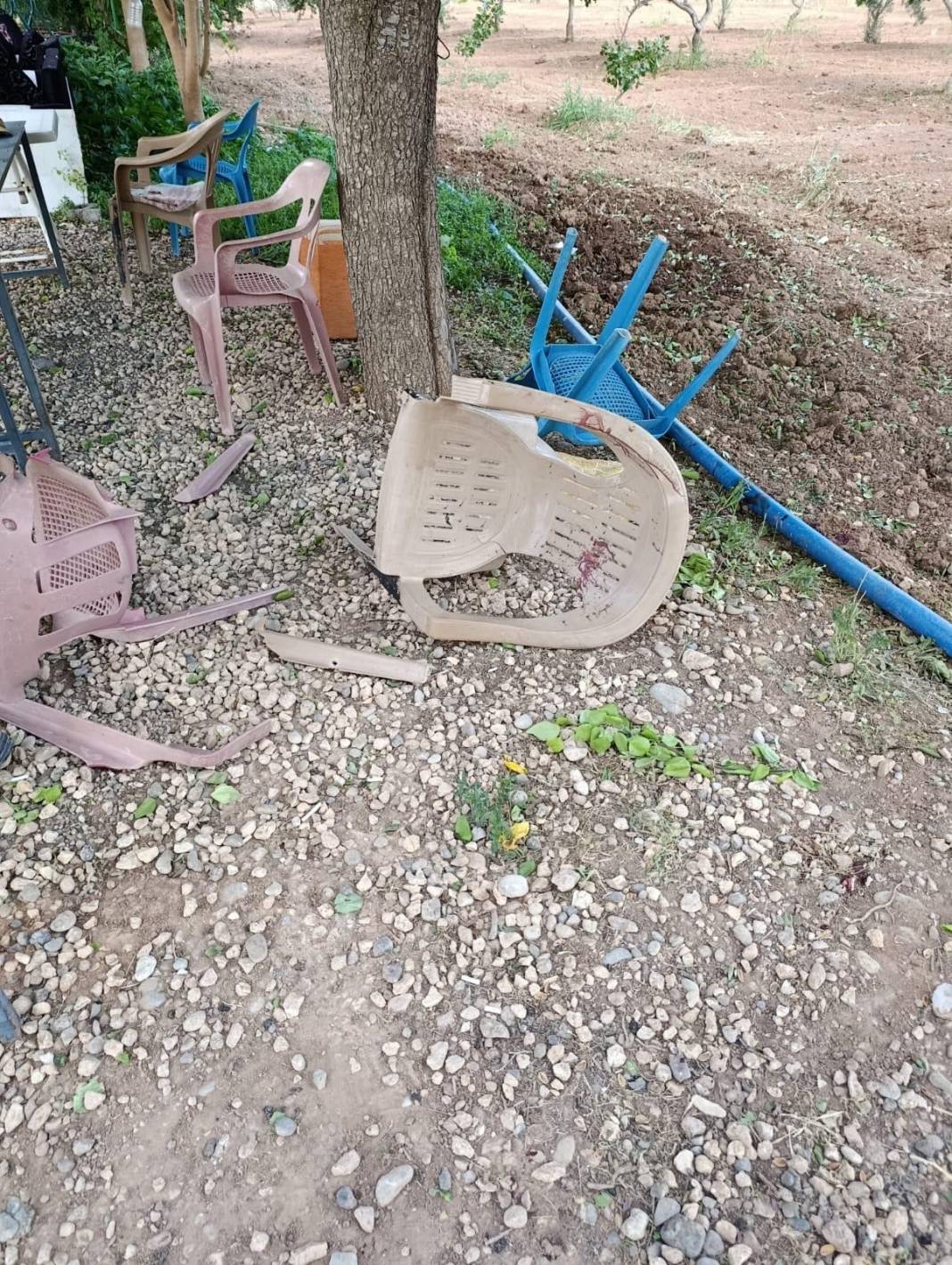 Aile içi kavga cinayetle son buldu 1