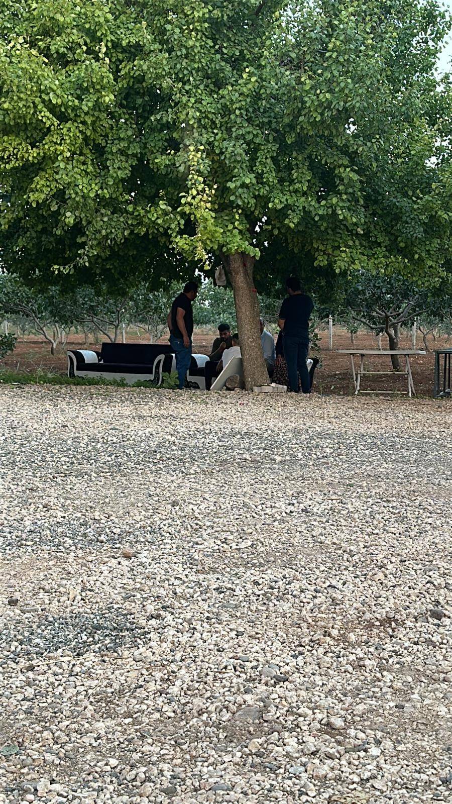 Aile içi kavga cinayetle son buldu 2