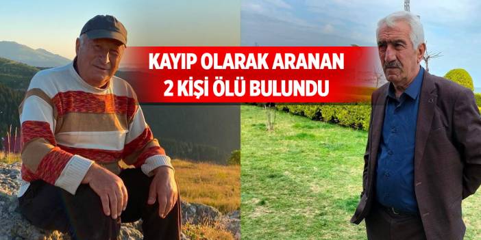 Kayıp olarak aranan 2 kişi, uçuruma yuvarlanan kamyonette ölü bulundu